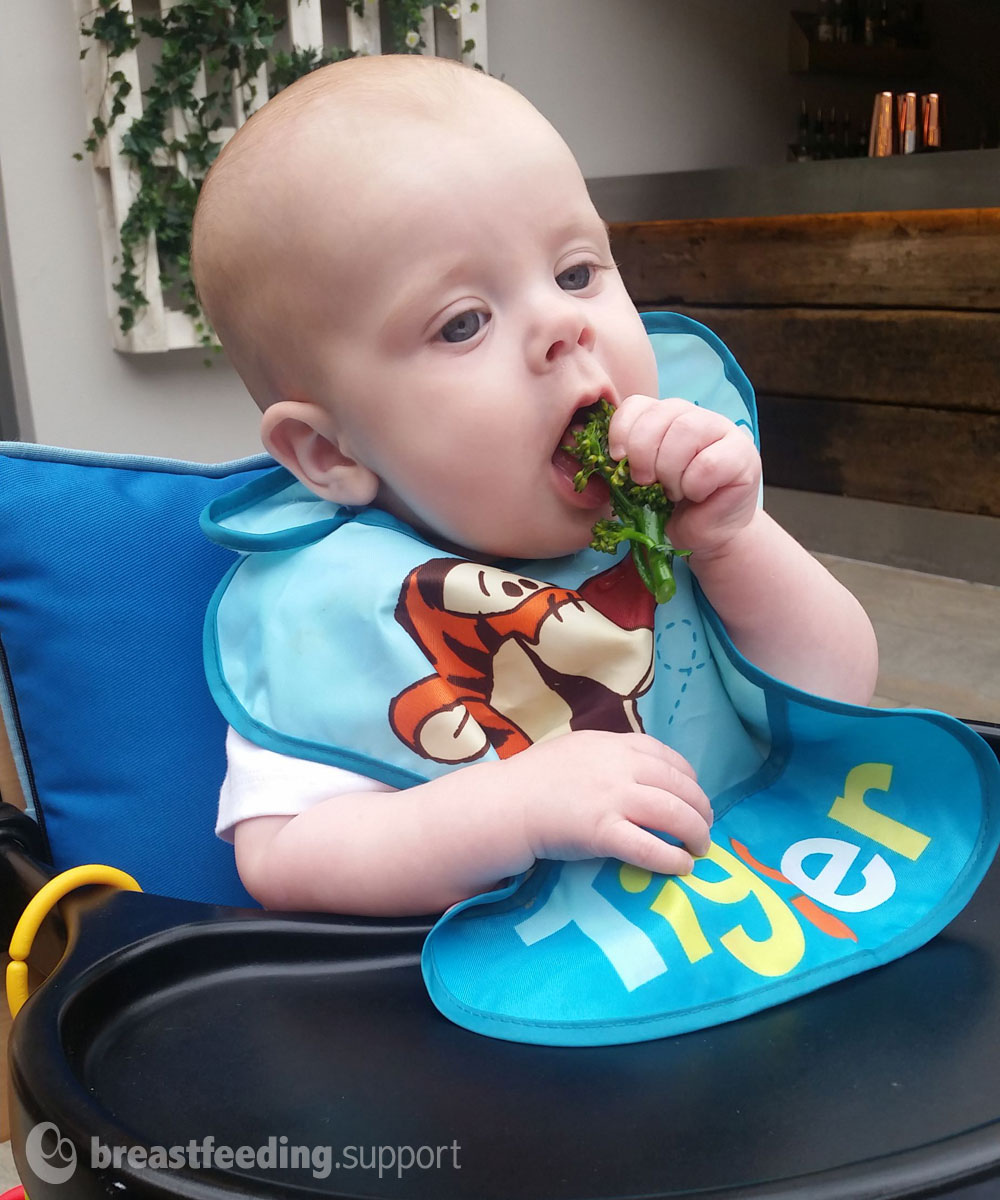 Baby six months old eating broccoli with his hands