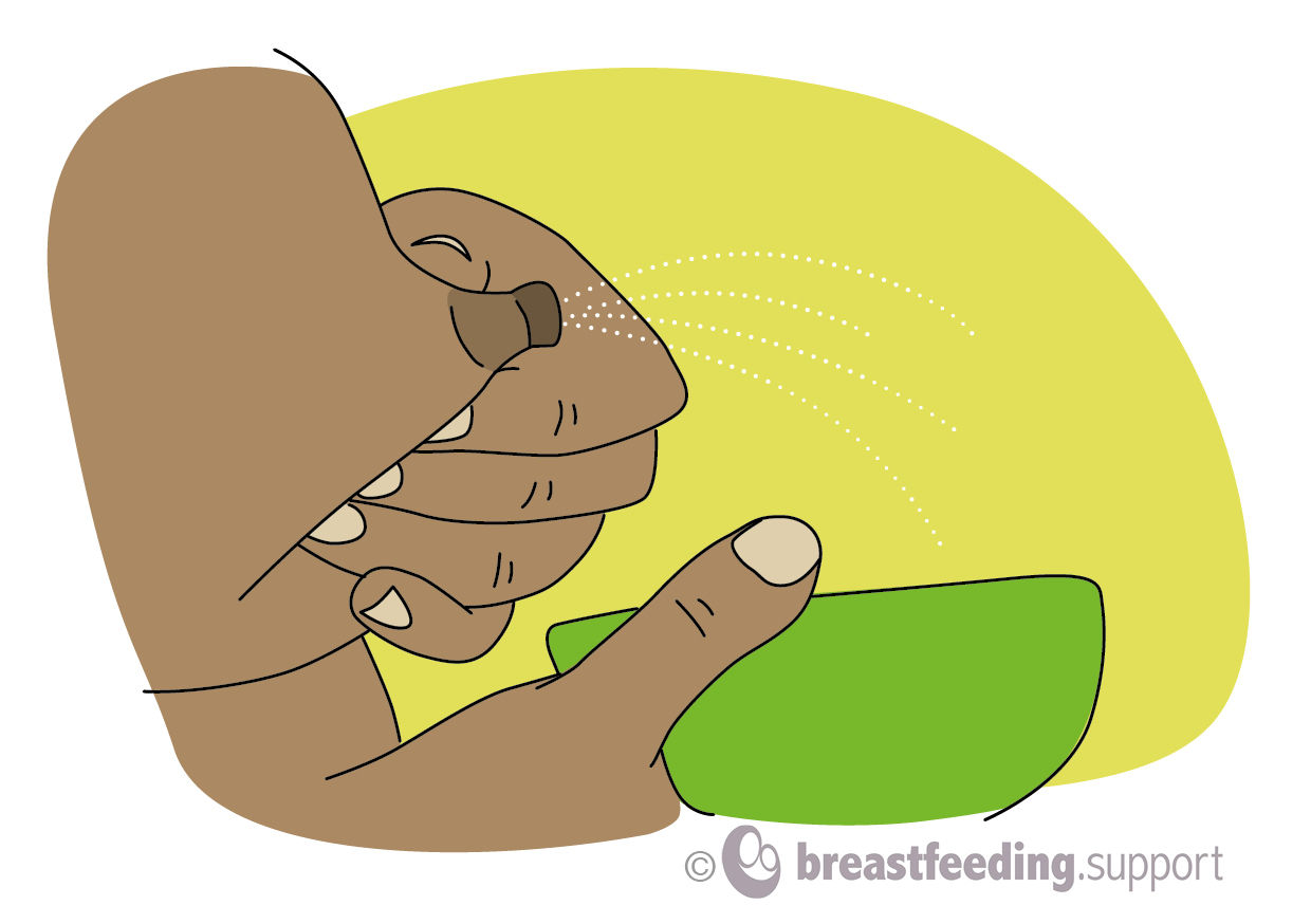 step 3: a drawing of the position of the hands during hand expressing