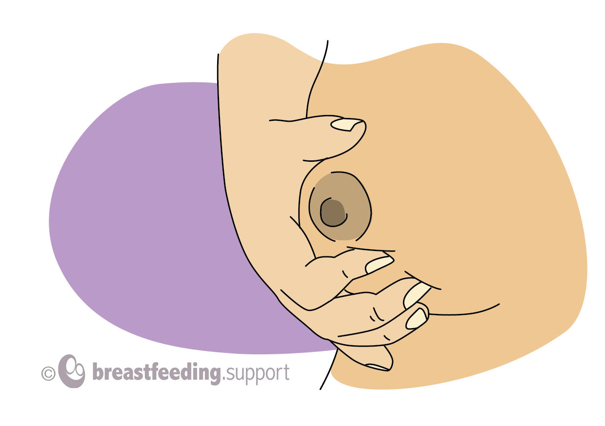 Hand Expression big boobs Breast milk Speeding Tutorial Education