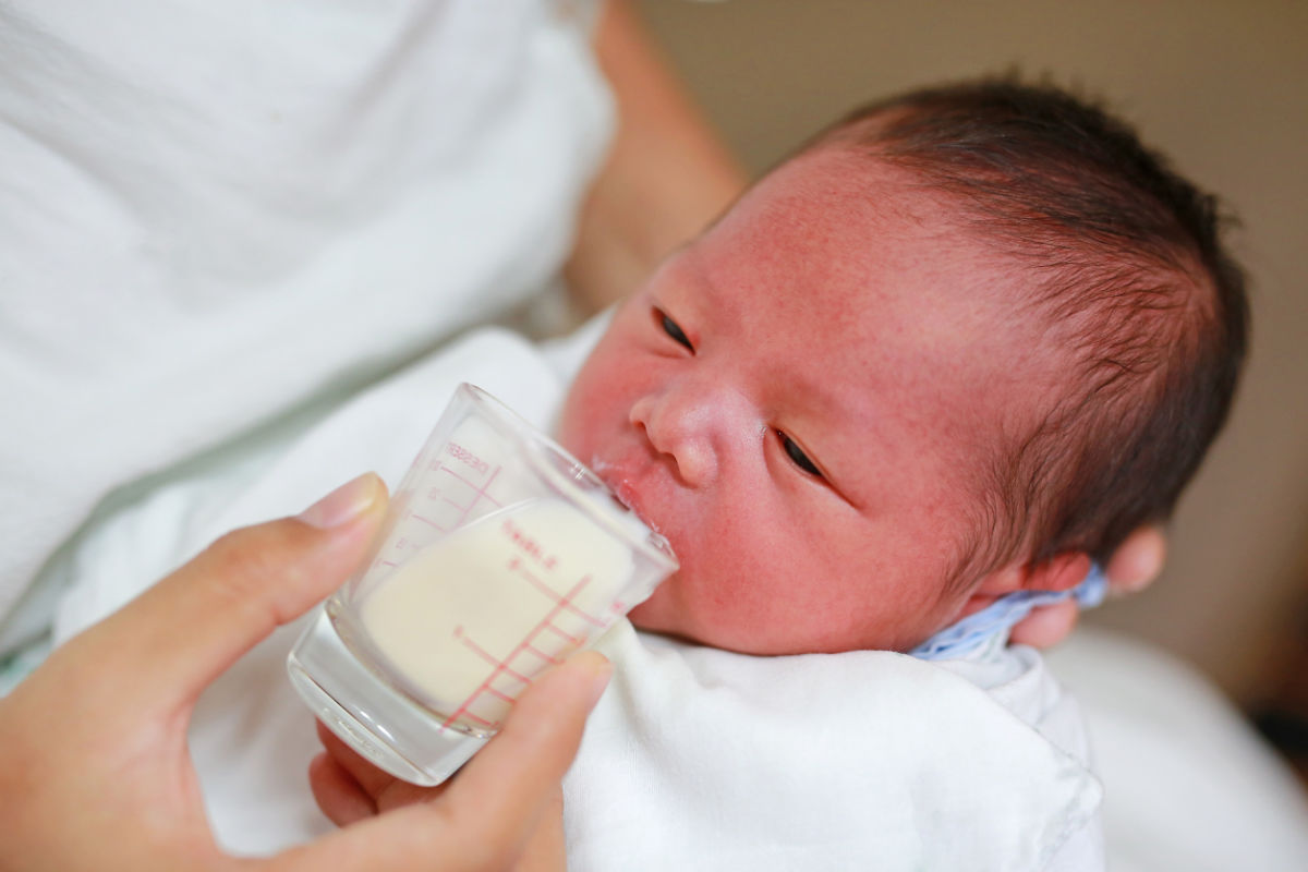 Cup feeding a newborn baby with a little glass cup resting on baby's lip