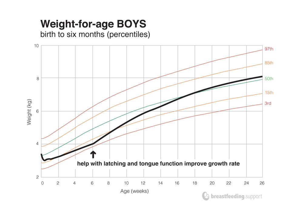 Understanding Your Baby’s Weight Chart (9/2023)