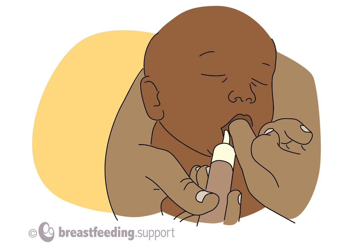 Breastfeeding Teeth Sucking Forced Videos - What is Finger Feeding? - Breastfeeding Support